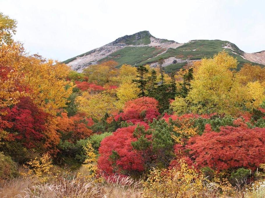 Alpine Inn Mizushiro Macumoto Kültér fotó