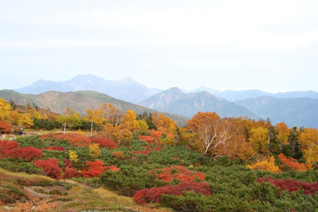 Alpine Inn Mizushiro Macumoto Kültér fotó