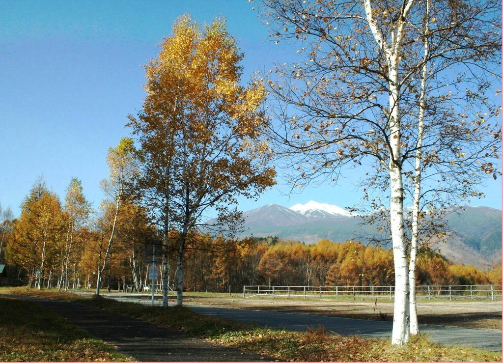 Alpine Inn Mizushiro Macumoto Kültér fotó